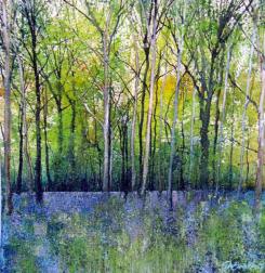 Fading Bluebells