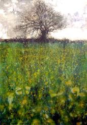 Fields Above Holne